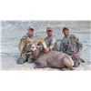 Image 2 : 2017 Utah Statewide Desert Bighorn Sheep Conservation Permit