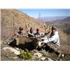 Image 3 : 2017 Utah Henry Mtns Deer Conservation Permit – Season Choice