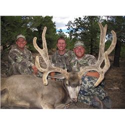 2017 Utah Henry Mtns Deer Conservation Permit – Season Choice