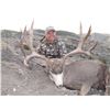 Image 2 : 2017 Utah Henry Mtns Deer Conservation Permit – Season Choice