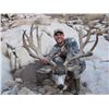 Image 3 : 2017 Utah Henry Mtns Deer Conservation Permit – Season Choice