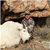 Image 1 : 2017 Utah Statewide Mountain Goat Conservation Permit