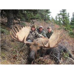 10-Day Moose Hunt for (1) Hunter - Full Curl Stone BC