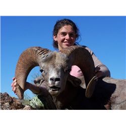 10-Day Desert Bighorn Sheep 2017 or 2018