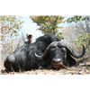 Image 2 : 8-Day Cape Buffalo Hunt for One (1) Hunter in South Africa