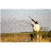 Image 1 : SIERRA OUTFITTERS: 4-Day Cast and Blast for Two Hunters in Argentina