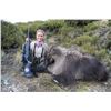 Image 1 : KIWI SAFARIS: 5-Day Tahr Hunt for Two Hunters and Two Non-Hunters in New Zealand - Includes Trophy F