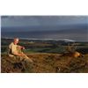 Image 1 : LE CHASSEUR / MAGIC SAFARIS: 4-Day Rusa Deer Hunt for One Hunter and One Non-Hunter on Mauritius Is