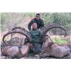 Image 1 : SHIKAR SAFARIS: 7-Day Anatolian (Bezoar) Ibex Hunt for One Hunter in Turkey - Includes Trophy Fee