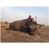 Image 1 : WES HIXON/PETER CHIPMAN: 7-Day Cape Buffalo and Plains Game Hunt for One Hunter and One Non-Hunter i