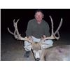 Image 1 : AMIGOS GUIDES: 7-Day Mule Deer Hunt for One Hunter and One Non-Hunter in Sonora, Mexico - Includes T