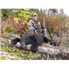 Image 1 : WICKED RIVER OUTFITTERS: 5-Day Black Bear Hunt for One Hunter in British Columbia - Includes Trophy