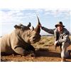 Image 1 : TAM SAFARIS: 7-Day DARTED White Rhino Hunt for One Hunter and One Non-Hunter in the Eastern Cape of