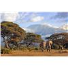 Image 1 : DAWIE FOURIE: "God's Own Country" - Original Oil On Canvas by African Wildlife Artist Dawie Fourie