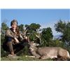Image 1 : L&L ADVENTURES: 3-Day Whitetail Deer Hunt for Two Hunters and Two Non-Hunters in Texas - Includes Tr