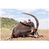 Image 1 : LATEGAN SAFARIS: 10-Day Plains Game Hunt for Two Hunters and Two Non-Hunters in South Africa - Inclu