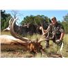 Image 1 : WHITE MOUNTAIN APACHE: Governor's Tag for One Hunter for a Rocky Mountain Elk Hunt in Arizona - Incl