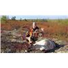 Image 1 : LEAF RIVER LODGE: 7-Day Quebec-Labrador Caribou Hunt for One Hunter in Quebec, Canada - Includes