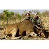 Image 2 : GAME TRACKERS: 7-Day Western Roan Hunt for One Hunter in Cameroon - Includes Trophy Fee