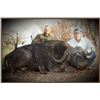 Image 2 : 10-DAY CAPE BUFFALO HUNT IN SOUTH AFRICA FOR 1 HUNTER