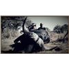 Image 5 : 10-DAY CAPE BUFFALO HUNT IN SOUTH AFRICA FOR 1 HUNTER