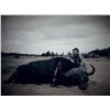 Image 8 : 10-DAY CAPE BUFFALO HUNT IN SOUTH AFRICA FOR 1 HUNTER