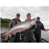 Image 10 : 6-DAY/5-NIGHT SALMON TRIP IN ALASKA FOR 1 ANGLER