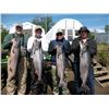 Image 13 : 6-DAY/5-NIGHT SALMON TRIP IN ALASKA FOR 1 ANGLER