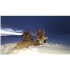 5-DAY MULE DEER HUNT IN NEW MEXICO FOR 1 HUNTER
