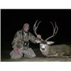 Image 3 : 5-DAY MULE DEER HUNT IN NEW MEXICO FOR 1 HUNTER