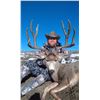 Image 4 : 5-DAY MULE DEER HUNT IN NEW MEXICO FOR 1 HUNTER