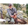 Image 2 : 3-DAY PYRENEAN CHAMOIS HUNT FOR 1 HUNTER