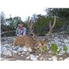 Image 2 : 2 HUNTERS FOR SAAM™ PRECISION & SAFARI HUNT COMBO AND $1,200 TOWARD TROPHY FEES FOR EACH HUNTER