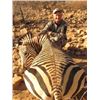 Image 2 : 7-DAY MOUNTAIN ZEBRA HUNT FOR 1 HUNTER IN THE ERONGO MOUNTAINS OF  NAMIBIA