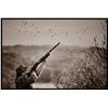 Image 2 : 3-DAY DOVE HUNT IN ARGENTINA FOR 8 HUNTERS