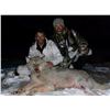 Image 8 : 7-DAY WINTER PREDATOR HUNT IN ALASKA FOR 1 HUNTER