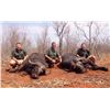 Image 26 : 10-DAY CAPE BUFFALO HUNT AND 2-DAY TIGER FISHING IN MATETSI ZIMBABWE, SOUTH AFRICA FOR 1 HUNTER
