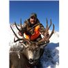 Image 10 : 2-DAY GUIDES CHOICE MANAGEMENT HUNT FOR MULE DEER FOR 1 HUNTER & 1 NON-HUNTER