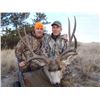 Image 11 : 2-DAY GUIDES CHOICE MANAGEMENT HUNT FOR MULE DEER FOR 1 HUNTER & 1 NON-HUNTER