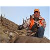 Image 5 : 2-DAY GUIDES CHOICE MANAGEMENT HUNT FOR MULE DEER FOR 1 HUNTER & 1 NON-HUNTER