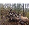 Image 2 : 5-DAY UTAH ELK HUNT FOR 1 HUNTER AND 1 NON-HUNTER