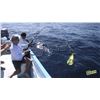 Image 2 : 4-DAY/3-NIGHT EL CARMEN ISLAND FISHING VACATION FOR 4 ANGLERS