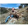 4-DAY SILVER MEDAL BECEITE IBEX HUNT FOR 1 HUNTER