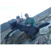 Image 3 : 5-DAY HUNT IN BRITISH COLUMBIA FOR 1 HUNTER