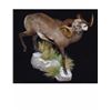 Image 7 : LIFE-SIZE NORTH AMERICAN WILD SHEEP MOUNT WITH HABITAT AND WOODEN BASE