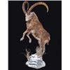 Image 8 : LIFE-SIZE NORTH AMERICAN WILD SHEEP MOUNT WITH HABITAT AND WOODEN BASE