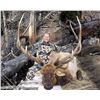 Image 2 : WYOMING GAME & FISH COMMISSIONER’S 2017 ELK/DEER/PRONGHORN LICENSE