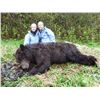Image 3 : 10-DAY COASTAL ALASKAN BROWN BEAR HUNT ON CHICHAGOF ISLAND ABOARD A 50’ VESSEL