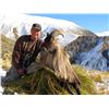 Image 11 : 5-DAY NEW ZEALAND HUNT FOR 2 HUNTERS INCLUDING THE TROPHY FEES AND TROPHY CREDIT AND AN AIRLINE TICK