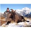 Image 13 : 5-DAY NEW ZEALAND HUNT FOR 2 HUNTERS INCLUDING THE TROPHY FEES AND TROPHY CREDIT AND AN AIRLINE TICK